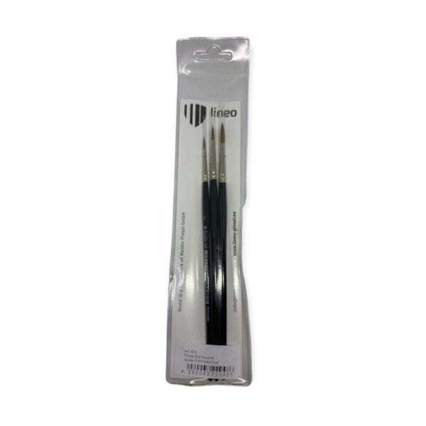 Set pensule pentru acuarela Lineo 602